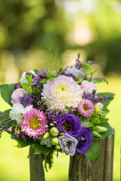 Colorful Summer Flower Bouquet Garden Fence — Stockfoto