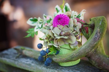 Bahçede küçük bir sonbahar çiçeği aranjmanı