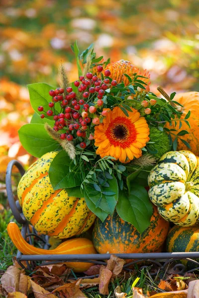 庭のカラフルな秋の装飾 — ストック写真