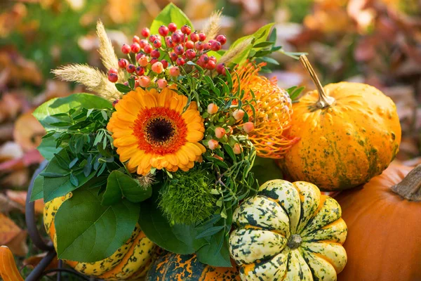 庭のカラフルな秋の装飾 — ストック写真