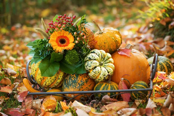 Colorful Autumn Decoration Garden — Stock Photo, Image