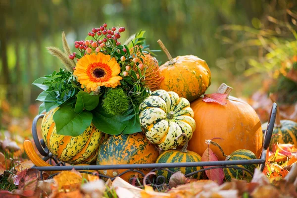 Colorful Autumn Decoration Garden — Stock Photo, Image