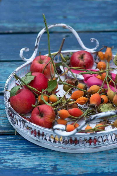 Äpplen Och Höftrosor Trädgårdstablett — Stockfoto