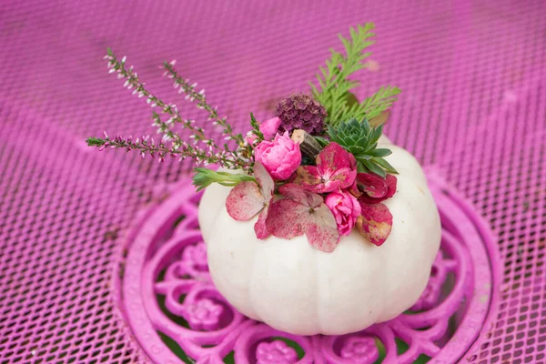 Liten Pumpa Med Rosa Blommor Rosa Trädgårdsstol — Stockfoto