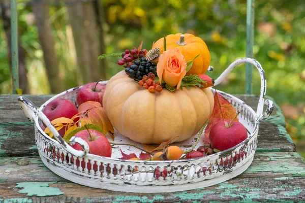 Små Pumpor Med Blomma Tablett — Stockfoto