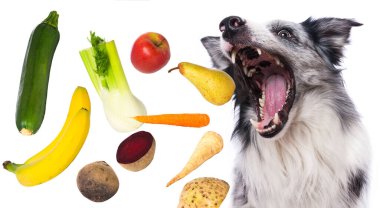 Collie Sınırı beyaz arka planda birçok sebze yakalar.