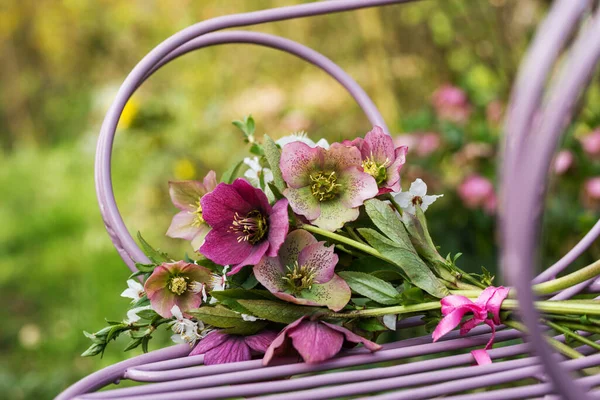 Bouquet Fleurs Helleborus Sur Une Chaise Jardin — Photo