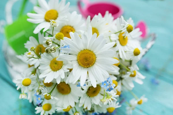 Margeritenblütenstrauß Einem Garten — Stockfoto