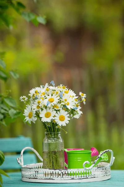 Buket Bunga Marguerite Taman — Stok Foto