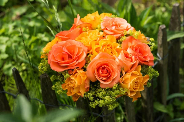 Bahçedeki çitin üzerindeki güllerin aranjmanı