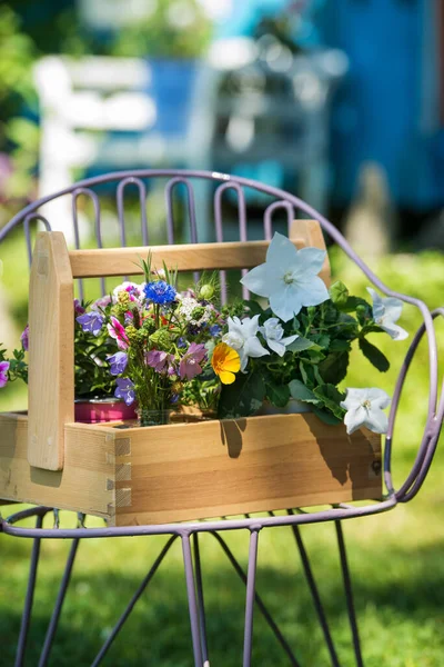 Cadeira Jardim Roxo Com Uma Caixa Madeira Jardim Verão — Fotografia de Stock