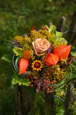 Bahçe çitlerinde renkli sonbahar çiçekleri