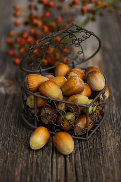 Fresh Hazelnuts Little Heart Basket — Stock Photo, Image