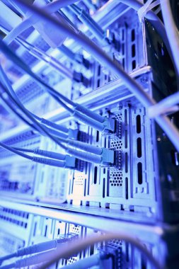 Ağ anahtarlarına takılmış çoklu veri kabloları