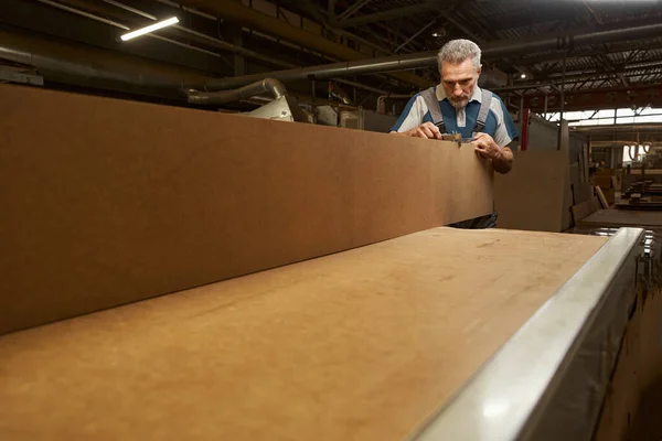 Concentrated joiner preparing plywood for producing furniture — Foto Stock