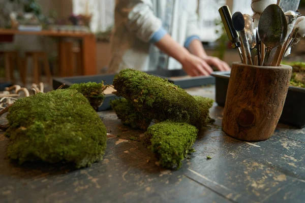 Pretty woman making picture with green plants — Fotografia de Stock