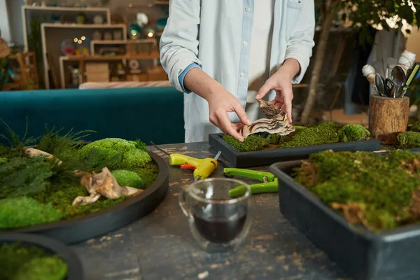 Young creative woman making picture with green plants — Stock Photo, Image