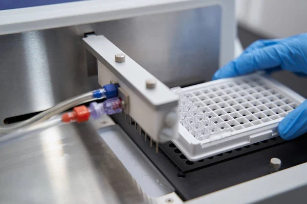 Professional doctor making test in the laboratory — Stock Photo, Image