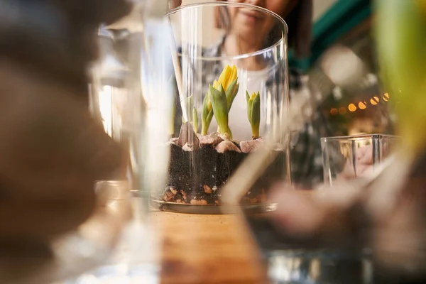 Close-up photo of female planting flowers in workshop — Stock Photo, Image