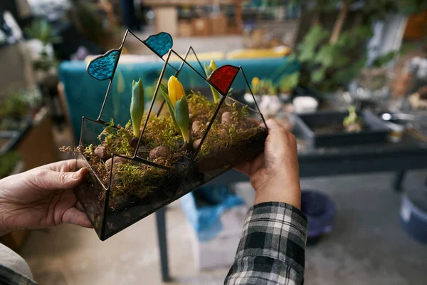 Signora in possesso di vaso di fiori di vetro con tulipani — Foto Stock