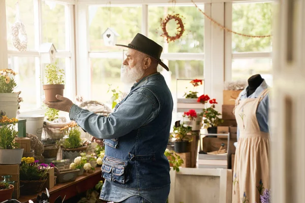 Senior man in cowboy hat is looking at pot plant in hands while looking after it in his boutique