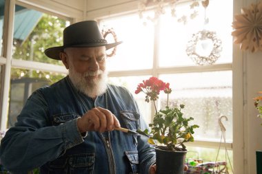 Gülümseyen yaşlı erkek, dükkandaki saksıda kırmızı çiçeğe bakmak için küçük bir kürek kullanıyor.