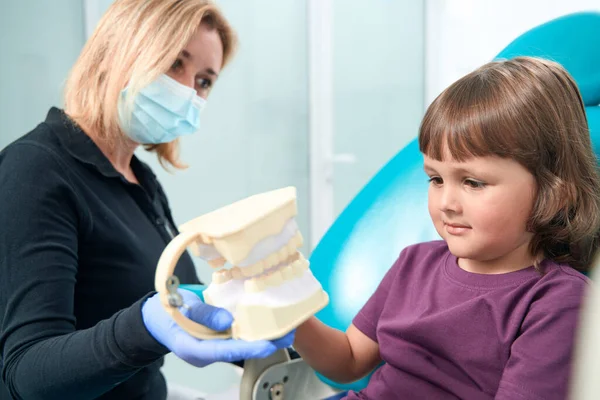 Female doctor in face mask and nitrile gloves demonstrating teeth model to child