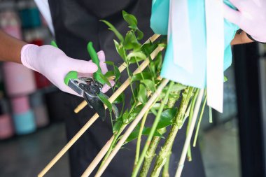 Siyah önlüklü adam çiçek saplarını keser.