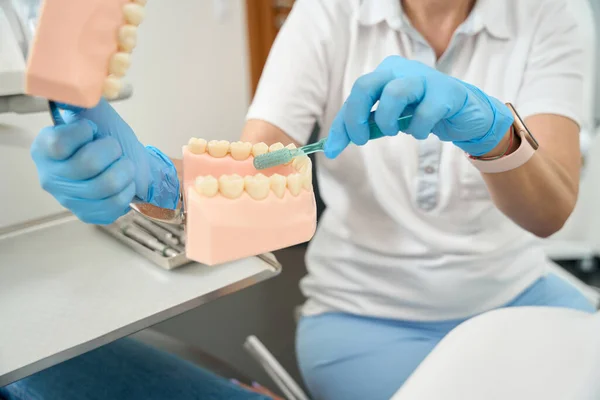 Femme Dentiste Enseigne Comment Brosser Les Dents Sur Une Maquette — Photo