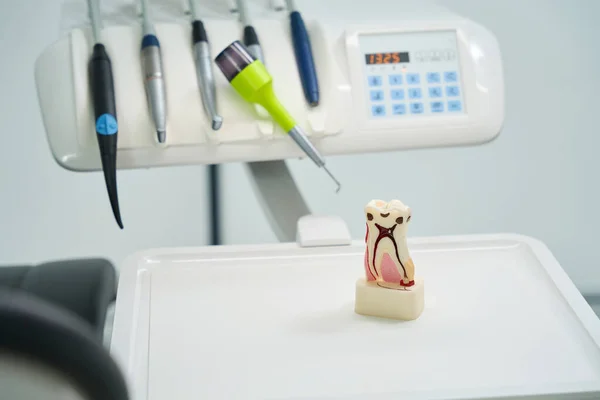 Close-up of tooth model against the background of dental chair. Modern stomatological cabinet