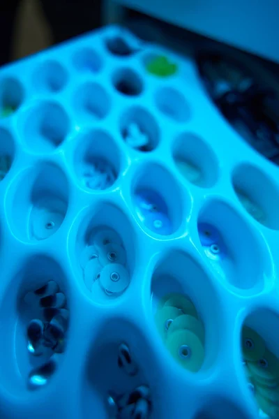 Close-up photo of a dental kit for grinding and polishing teeth. Dental discs and corkscrews