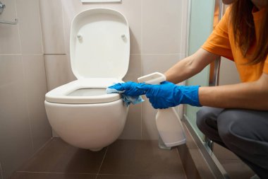 Yüzeyleri ve bezi temizlemek için sprey tutan kadın tuvaletteki klozeti temizliyor.