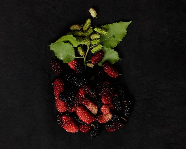 Amoras Frescas Contêm Muita Vitamina Esta Fruta Roxa Escura Tem — Fotografia de Stock