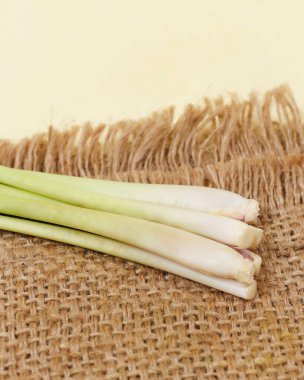 Lemongrass Cymbopogon citratus, çimen kabilesinin bir üyesidir. Yapraklar koparıldığında, belirgin aroması hemen yayılacak..