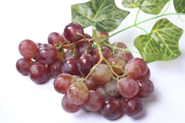 Üzümler, ağaç üzümünün meyveleridir. Üzümler çiğ yenebilir ya da şarap, meyve suyu ve reçel yapımında kullanılabilir. Üzümler farklı renklerde gelir; kırmızı, mor, beyaz. Fokus bulanıklığı.