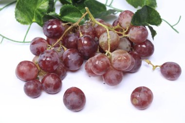 Üzümler, ağaç üzümünün meyveleridir. Üzümler çiğ yenebilir ya da şarap, meyve suyu ve reçel yapımında kullanılabilir. Üzümler farklı renklerde gelir; kırmızı, mor, beyaz. Fokus bulanıklığı.