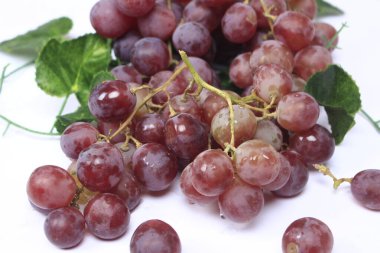 Üzümler, ağaç üzümünün meyveleridir. Üzümler çiğ yenebilir ya da şarap, meyve suyu ve reçel yapımında kullanılabilir. Üzümler farklı renklerde gelir; kırmızı, mor, beyaz. Fokus bulanıklığı.