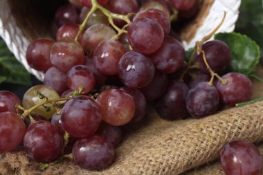 Üzümler, ağaç üzümünün meyveleridir. Üzümler çiğ yenebilir ya da şarap, meyve suyu ve reçel yapımında kullanılabilir. Üzümler farklı renklerde gelir; kırmızı, mor, beyaz. Fokus bulanıklığı.