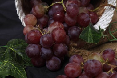 Üzümler, ağaç üzümünün meyveleridir. Üzümler çiğ yenebilir ya da şarap, meyve suyu ve reçel yapımında kullanılabilir. Üzümler farklı renklerde gelir; kırmızı, mor, beyaz. Fokus bulanıklığı.
