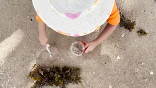 Anak Anak Bermain Pasir Pantai Disertai Dengan Gelombang Pantai Gadis — Stok Video