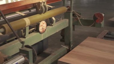 Kontrplak yapımının video görüntüleri. Basın makinesinden çıkan bir film sayfası. Hollywood sayfaları satışa hazır. Tahta çarşafları titizlikle kıskaçlayan bir fabrika makinesi..