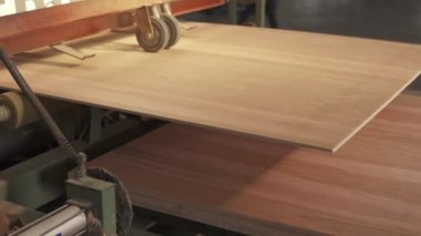 Kontrplak yapımının video görüntüleri. Basın makinesinden çıkan bir film sayfası. Hollywood sayfaları satışa hazır. Tahta çarşafları titizlikle kıskaçlayan bir fabrika makinesi..