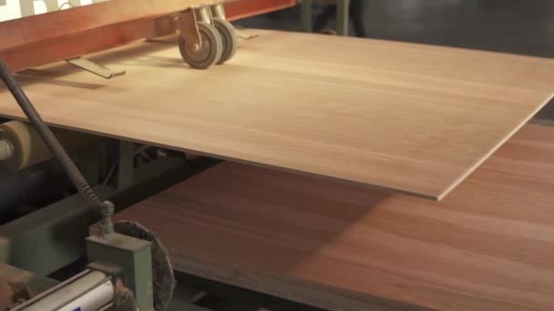 合板を作る過程のビデオ映像 プレス機から出てくるプレイウッドシート 木製のシートを販売する準備ができました 板金を高精度にクランプする機能を有する工場機械 — ストック動画