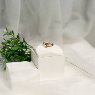 Doğa temalı nikah yüzüğü. Beyaz arka planda birkaç halka var. Elmas süslemeli nişan yüzüğü. Sokakta sergilemek için takı yüzükleri. Model şablonu için boş halkalar