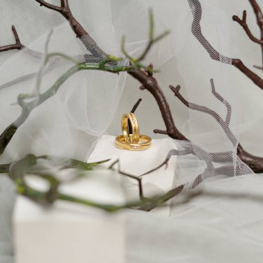 Doğa temalı nikah yüzüğü. Beyaz arka planda birkaç halka var. Elmas süslemeli nişan yüzüğü. Sokakta sergilemek için takı yüzükleri. Model şablonu için boş halkalar