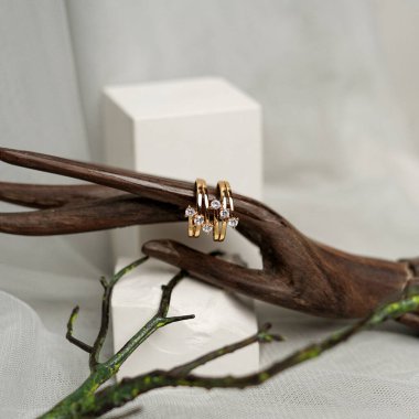 Wedding ring with a nature theme. Couple rings on a twig on a white background. engagement ring with diamond embellishments. Jewelry rings for display sales on socmed. blank rings for mockups template