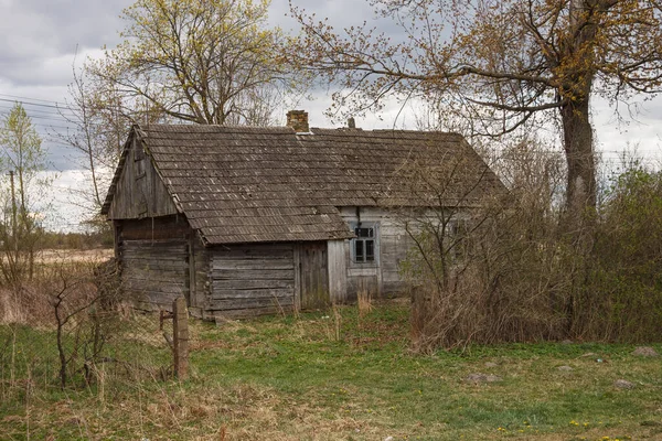 Abandoned Old Wooden House Trees Rural Spring Landscape Royalty Free Stock Images