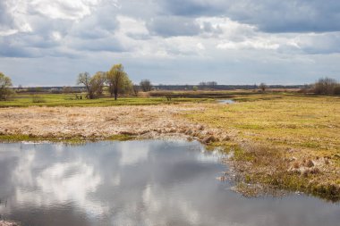 Nehirli resimli bir manzara manzarası. Nehir yatağını gören bahar manzarası. Fazla gelişmiş kıyılar