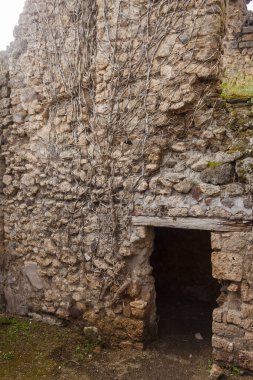 Pompeii antik şehrinin resimli kalıntıları.