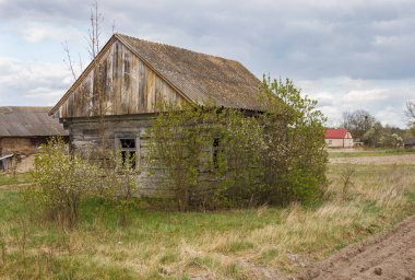 Ağaçların arasında terk edilmiş eski ahşap bir ev. Kırsal ilkbahar manzarası.